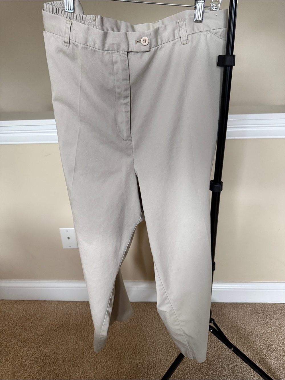 Wonen's Classic Pleated Khaki Pants - Light Beige Petite